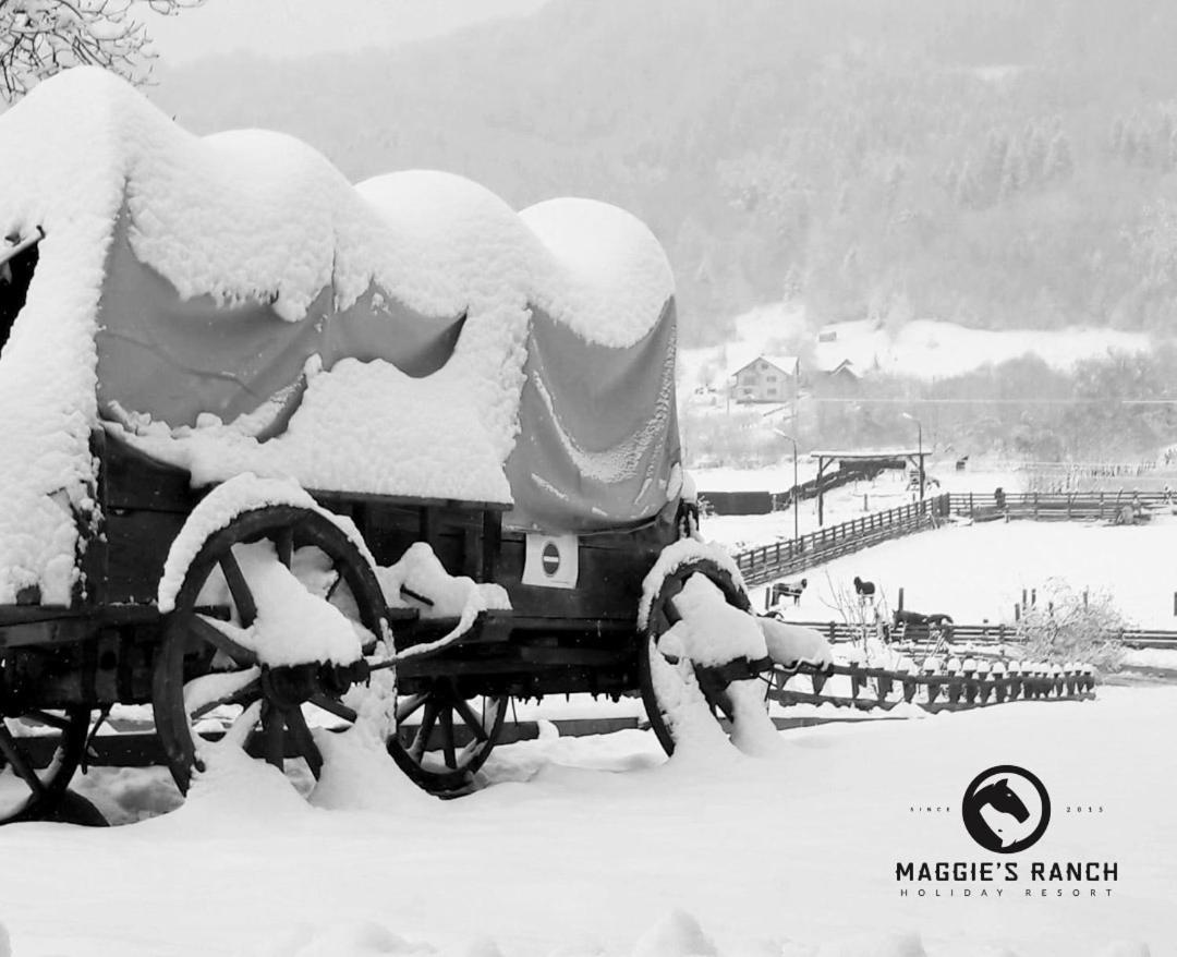ホテル Maggie'S Ranch Rîşnov エクステリア 写真